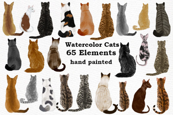Cat Clipart