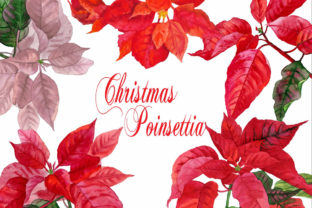 Christmas Poinsettia Watercolor Clipart